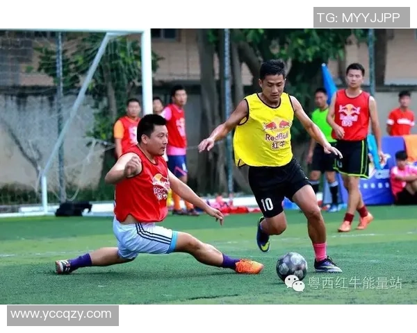 北京篮球队耐力变革引发热议球迷期待新赛季的精彩表现与突破