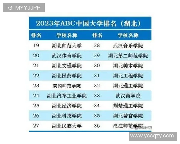 武汉排球队在全国排球配合排行榜中荣获第八名展现出强劲实力与团队合作精神