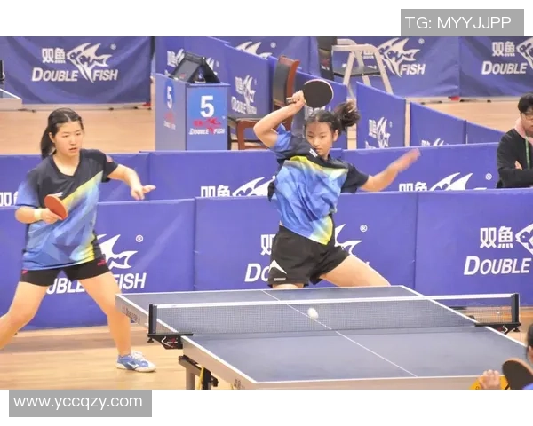 深圳乒乓球队在锦标赛中的团队协作表现分析与总结